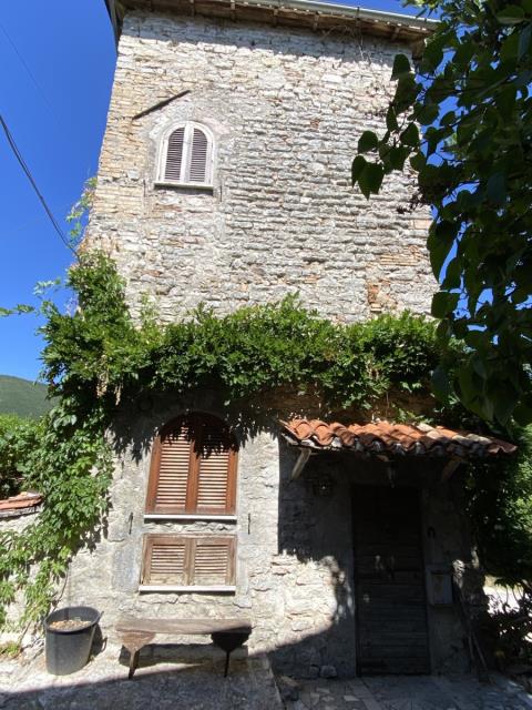 Image description