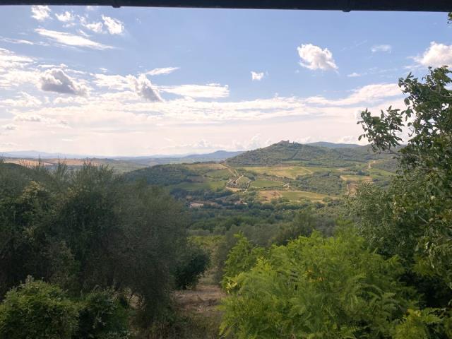 Image description
